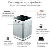 Air Purifier Small Home Appliances Mini Negative Ion - bearfactory