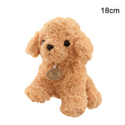 Teddy dog plush toy