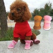 Dog snow boots teddy - bearfactory