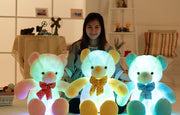 Glowing Teddy Bear - bearfactory