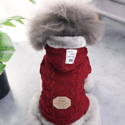 Teddy dog clothes - bearfactory