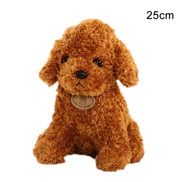 Teddy dog plush toy - bearfactory