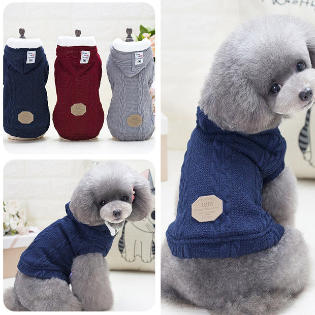 Teddy dog clothes - bearfactory