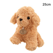 Teddy dog plush toy - bearfactory