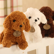 Teddy dog plush toy - bearfactory