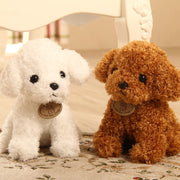 Teddy dog plush toy - bearfactory