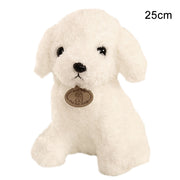 Teddy dog plush toy - bearfactory