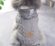 Teddy dog clothes - bearfactory