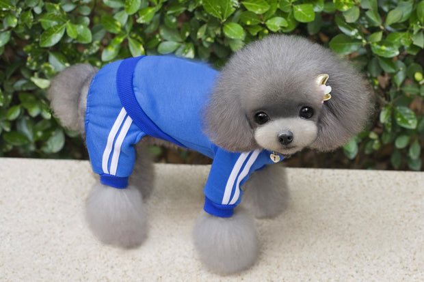 Teddy clothes dog hoodie - bearfactory