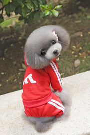 Teddy clothes dog hoodie - bearfactory