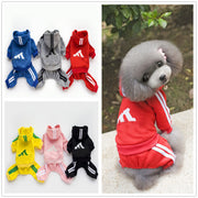 Teddy clothes dog hoodie - bearfactory