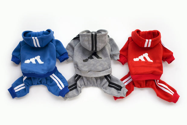 Teddy clothes dog hoodie - bearfactory