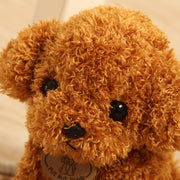 Teddy dog plush toy - bearfactory