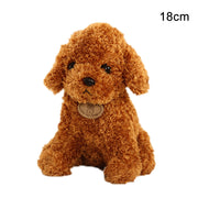 Teddy dog plush toy