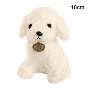 Teddy dog plush toy - bearfactory