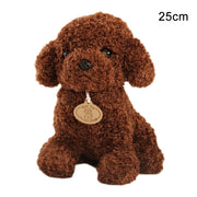 Teddy dog plush toy - bearfactory