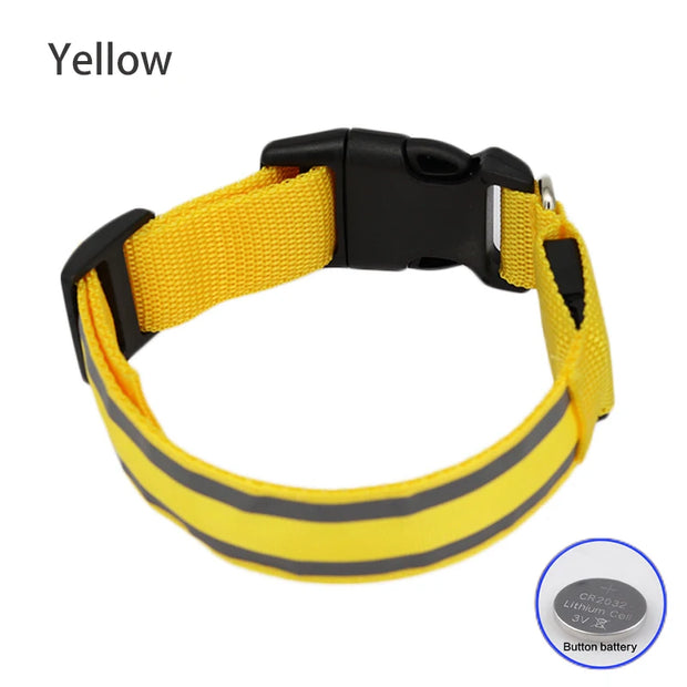 Bright LED Reflective Dog Collar - bearfactory