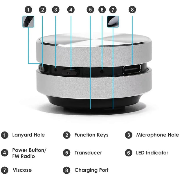 Hummingbird Bone Conduction Speaker - bearfactory