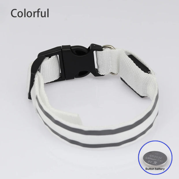 Bright LED Reflective Dog Collar - bearfactory