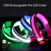 Bright LED Reflective Dog Collar - bearfactory