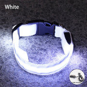 Bright LED Reflective Dog Collar